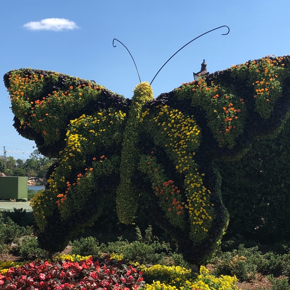 Meet your Posher, Rachana